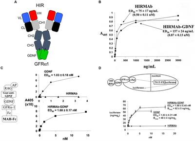 Treatment of Parkinson’s disease with biologics that penetrate the blood–brain barrier via receptor-mediated transport